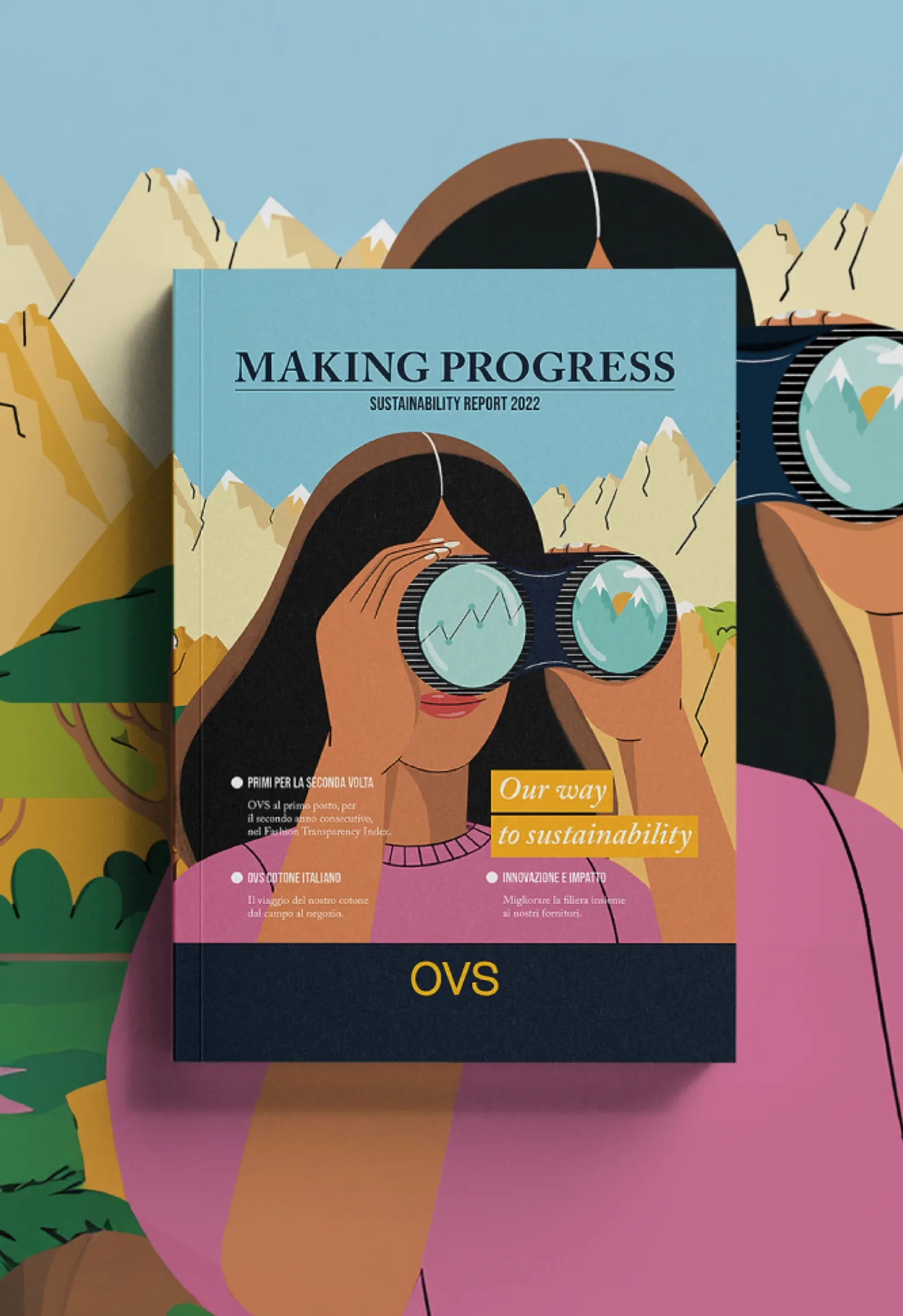 OVS 'Making Progress' Impact Report volumes, detail view